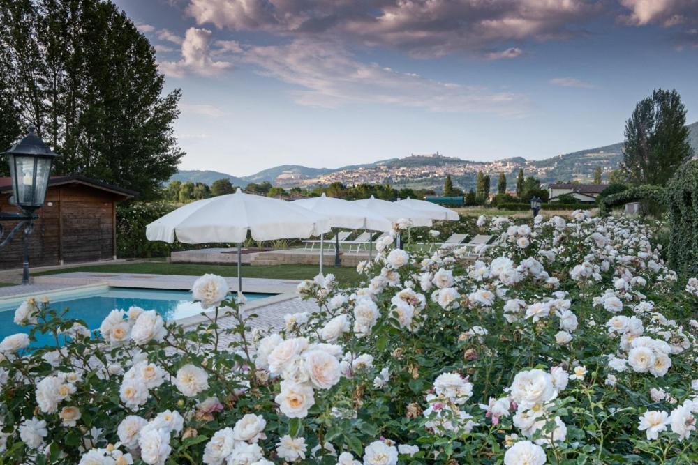 Villa Il Fienile Di Asís Exterior foto