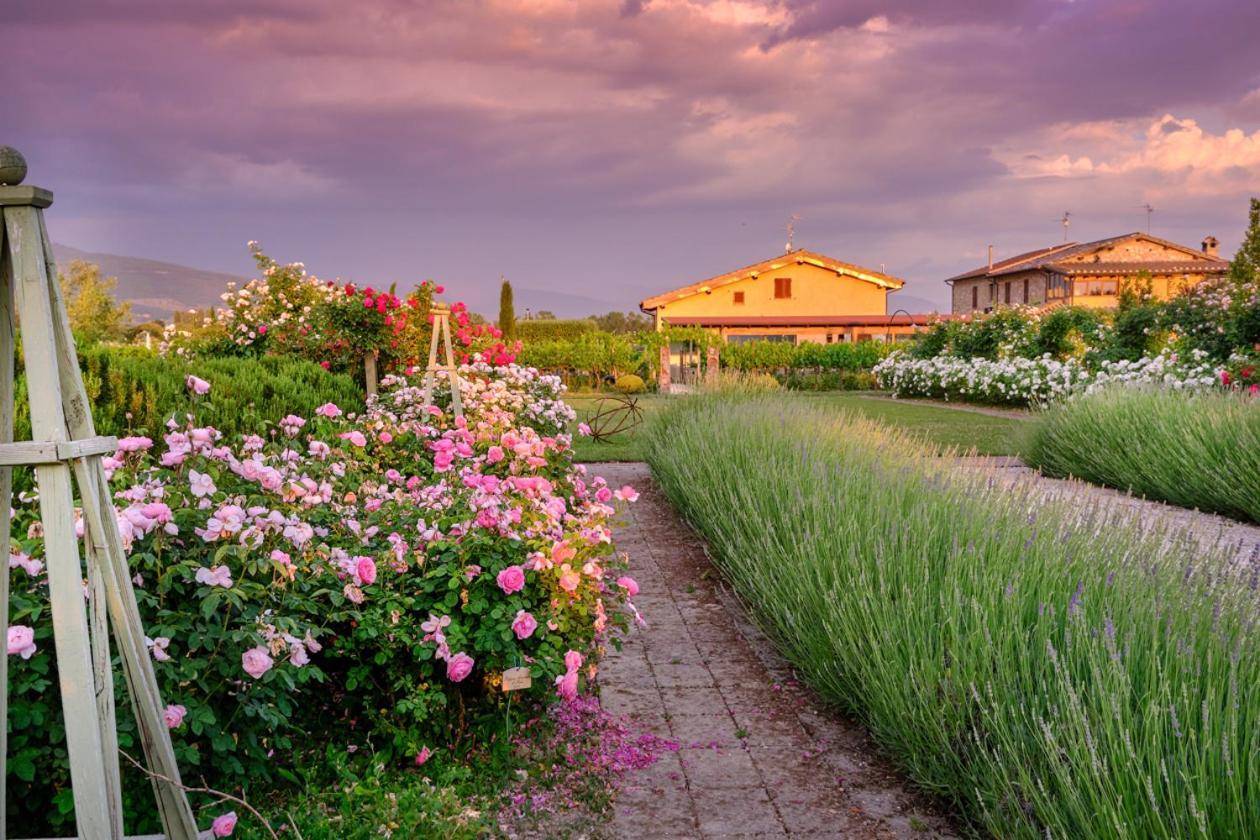 Villa Il Fienile Di Asís Exterior foto