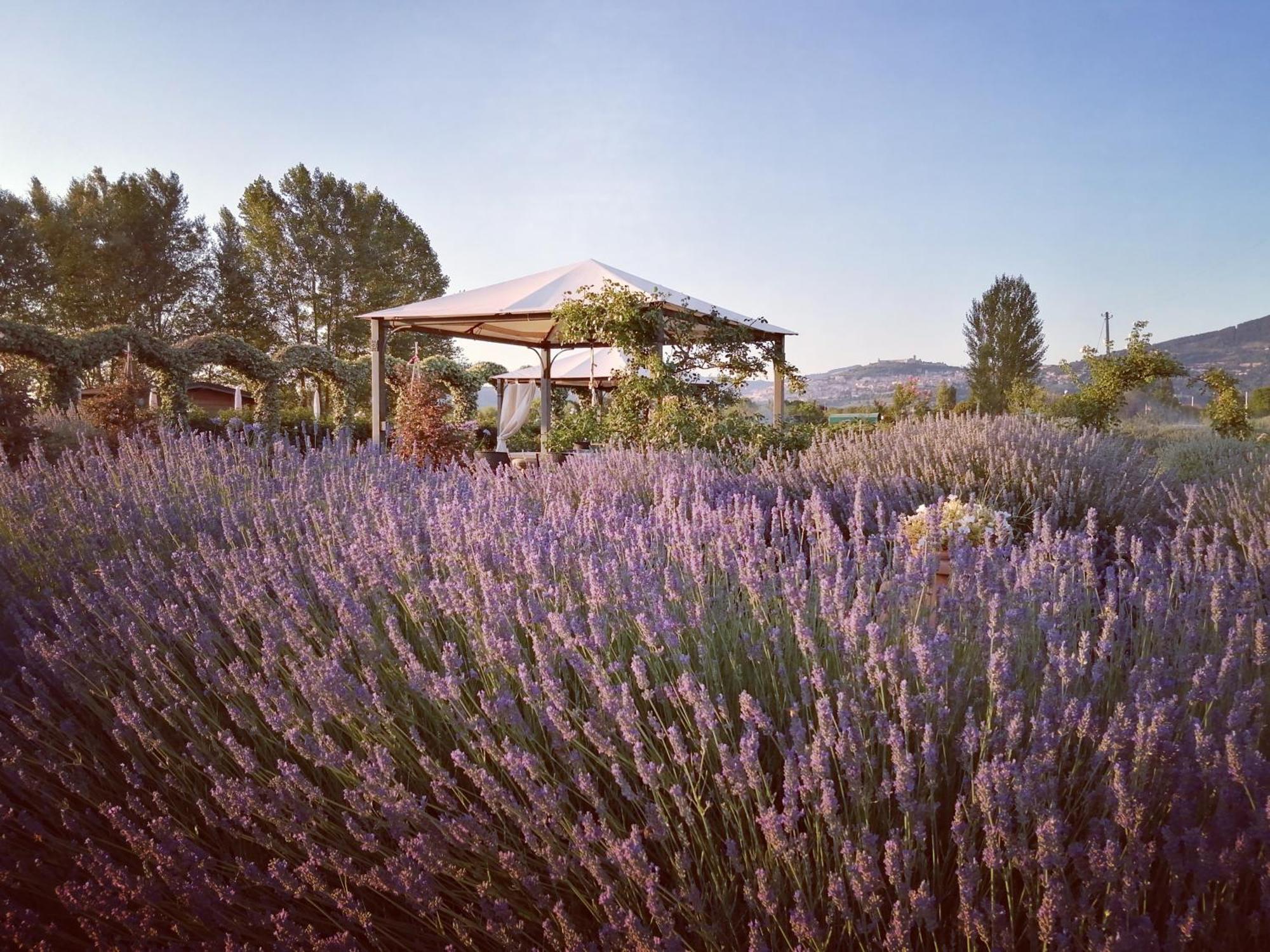 Villa Il Fienile Di Asís Exterior foto