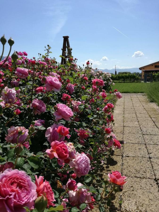 Villa Il Fienile Di Asís Exterior foto